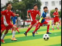 博洛尼亞VS拉齊奧直播_博洛尼亞VS拉齊奧直播在線觀看_博洛尼亞VS拉齊奧直播免費(fèi)觀看無插件