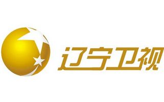 遼寧衛(wèi)視