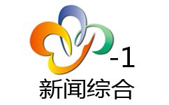 武漢新聞綜合頻道
